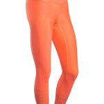 Johaug  Flash Warm tights 1